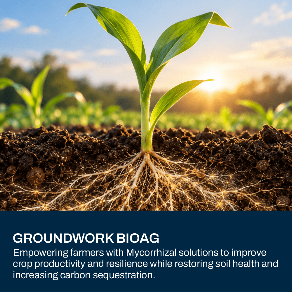Groundwork BioAg